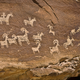 Image for article titled Why the Paleo Diet and Lifestyle Are Not Based in Scientific Reality